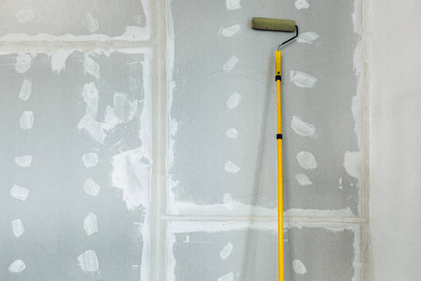 Best Expert Drywall Texturing  in Juneau, WI